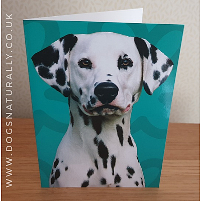 Dalmatian Jazzy Greetings Card